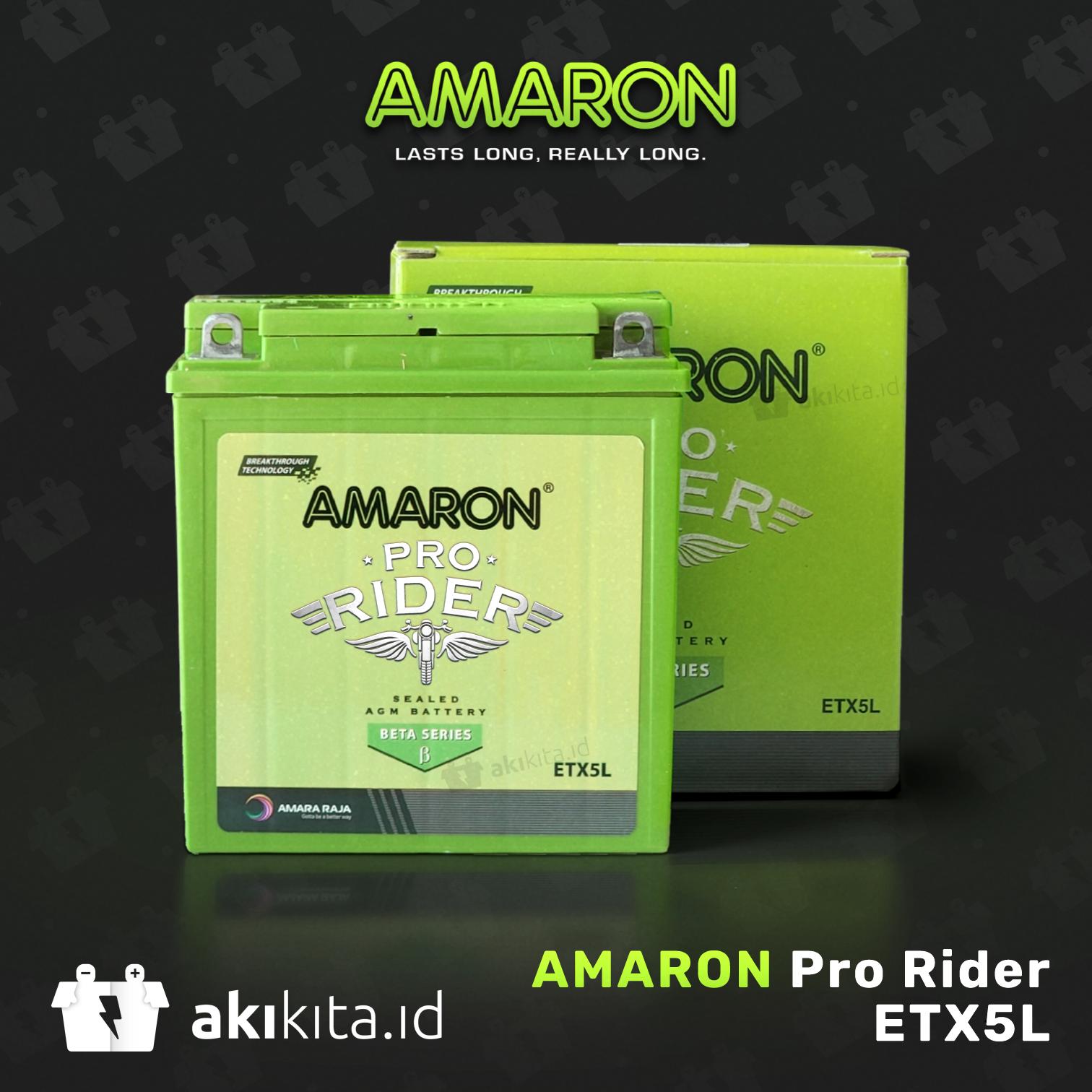 AMARON Pro Rider ETX-5L